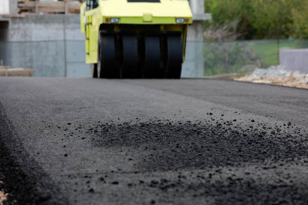 Best Driveway Paving Contractor  in Charlotte, MI