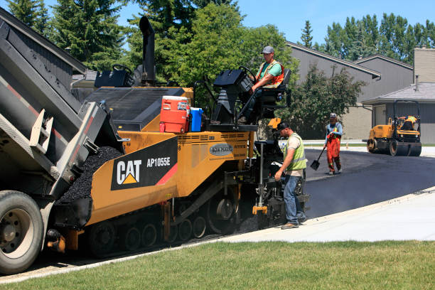 Best Driveway Pavers for Homes  in Charlotte, MI